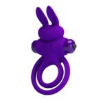 Dupli Vibro Prsten Zeka - Ljubičasti