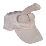 Šaljivi kačket sa penisom